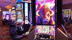 gpt5 Live Casino
